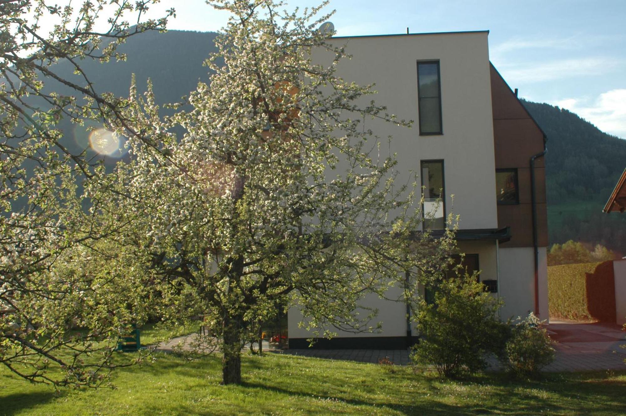 Haus Hofer Apartment Mieders Exterior photo